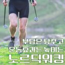 노르딕 워킹, 남녀노소 누구나 할 수 있는 전신운동(+스틱 추천) 이미지