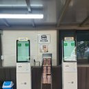 마당이수목원(자작나무동) | 용인 자작나무숲(반려견동반가능)