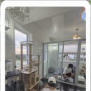 강아지천국 이미지