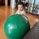 공브라더스 역삼점 | [15개월] D+456~462 육아일기 :: 친구랑 외식, 글렌도만영재교실, 짐보리워커, 자유부인, 이모할머니댁...