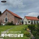 주식회사 상상제주여행 | 유럽 분위기 서귀포 브런치 카페 제주에인감귤밭 솔직 후기
