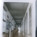 마령중학교 | 마령중학교(진안)19회