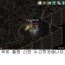 돼지나라 이미지