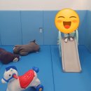 예담소아청소년과의원 네이버블로그