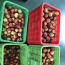 오봉농장 이미지