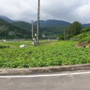 남해-238 이미지