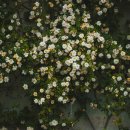 의료법인 보원의료재단 경희의료원 교육협력 중앙병원 이미지