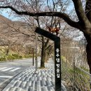 청주CBS 새봄맞이 음악회 | 충북 벚꽃 명소 BEST 5