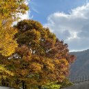 13월의아침 이미지