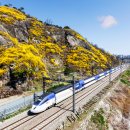 (주)국민고속투어 이미지