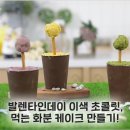 화분케이크 네이버블로그