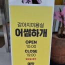 어썸하개 이미지