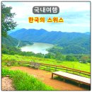 춘천 해피초원목장 한국의스위스 가는법 먹이체험 한우버거