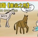 새옹지마 - 마포구 굴레방로9길 46 | 새옹지마