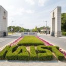 카이스트 정문 이미지