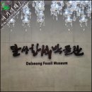 영화를 품은 책 감상 | [달성 화석 박물관] 시간을 품은 돌, 책보다 생생한 과거, 화석 속 생명 이야기에 빠진 하루
