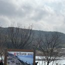 원동마을길 | 2025 원동매화마을 축제 일정 매화 개화 시기 봄 여행 추천!