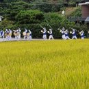 예안농장 이미지