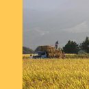 농업회사법인(주)에코 이미지