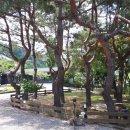 가평 산 밑에 아름드리 소나무 정원이 예쁜 별장겸 펜션 이미지