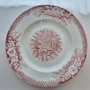 레드플레이트 이미지