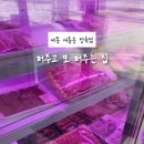 퍼주고또퍼주는집 - 진주시 진주대로 1067 | 퍼주고또퍼주는집
