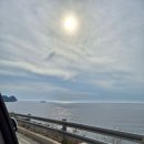#207 현지인과 함께하는 울릉도여행2일차 어른팔뚝만한 빨간해삼 처음 본 날(밤새서 술먹은 삼십대들의...
