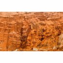 신비민박 이미지