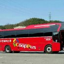 정래약국 Daum카페
