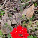 다움공인중개사사무소 이미지