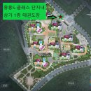용인대선일태권도장 이미지