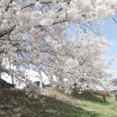 GS더프레시천안점 이미지