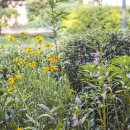 상야동경로당 이미지