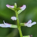 반포원단지내부동산공인중개사사무소 이미지