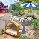 그림일기펜션 | 강원도 숙소 추천 양양 계곡펜션 오색연가 스파 후기