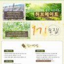 허브아미