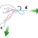 바다낚시,바늘묶기,매듭법,8자매듭,도래매듭,직결볍,면사매듭 이미지