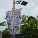 디지알에이디 - 강남구 테헤란로82길 15 | 디지알에이디