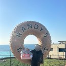 애월담아 | 제주 랜디스도넛 애월점 내돈내산 후기