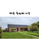 대정읍-5 | 제주 서귀포 대정읍 5월의 제주 아이와 가볼만한 곳 조용한 북카페 나무