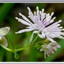 오월에민박 이미지