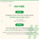 현대카라인 이미지