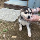 수아켄넬 이미지