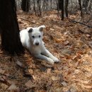 몸살림운동 이미지