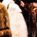 정부농장 이미지