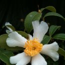 (유)현유 이미지