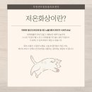 루원 센트럴 동물의료센터 이미지