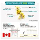 이씨오환경 | [올어바웃뷰티/에센허브]-촉촉한 수분을 가득 머금은 &#34;위치하젤85젤크림(라벤더)민감성 제품후기~!