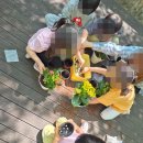 대전도솔유치원 이미지