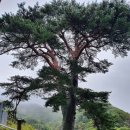 큰솔가든 이미지